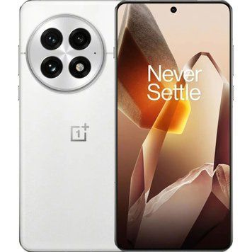 Смартфон OnePlus 13 12/256GB Arctic Dawn (Global) 285793 фото