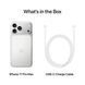Смартфон Apple iPhone 17 Pro Max 512GB Silver (MFYQ4) 349906457 фото 7