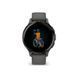 Смарт-часы Garmin Venu 3S, Pebble Gray + Slate, GPS (010-02785-00) 837212 фото 8