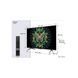 Телевізор TCL C6K 50" QLED Ultra HD 4K (50C6K) 245021 фото 6