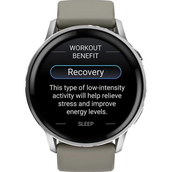 Смарт-часы Garmin Venu 4 45 mm Silver with Silver Gray Silicone Band (010-03014-01) 301016 фото