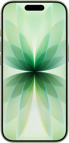 Смартфон Apple iPhone 17 256GB Sage (MG6N4) 349906431 фото