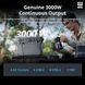 Зарядная станция DJI Power 2000, 3000 Вт, 2048 Вт/час (DYM2000H) EU  DYM2000H фото 7